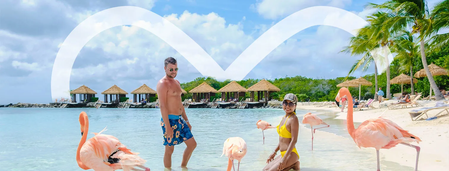 vaction banner